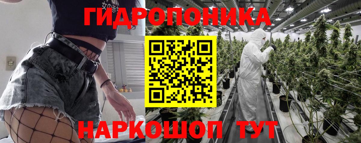 Красногорск  Шишки марихуана SATIVA & INDICA  Конопля ГИДРОПОН  Вход с VPN  Канабис OG Kush 